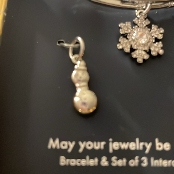 Alex and Ani Blue Bracelet Set - Picture 5 of 6